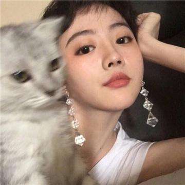 这题让我来游戏下载